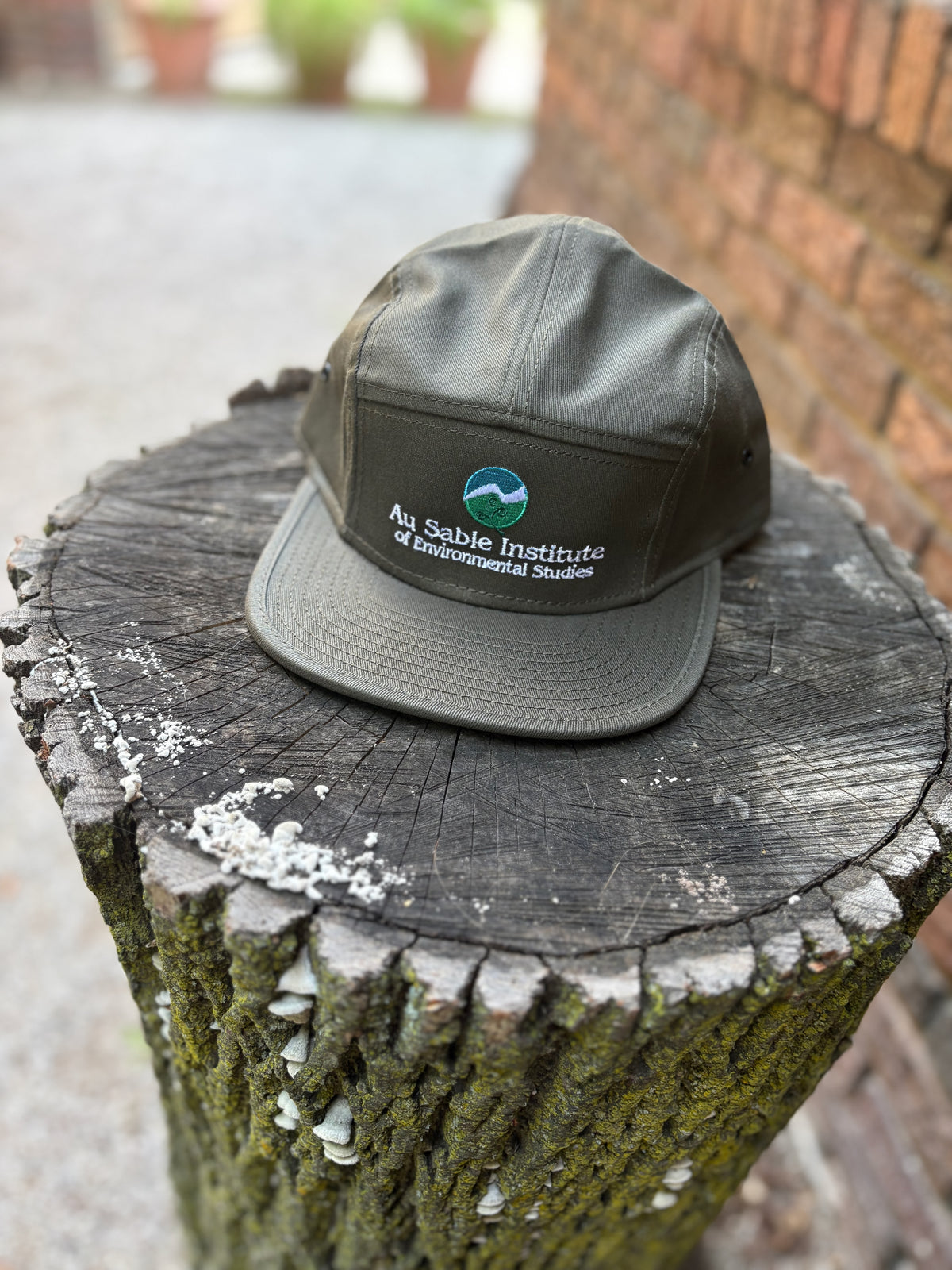 Au Sable Institute Logo 5-Panel Duck Cloth Cap