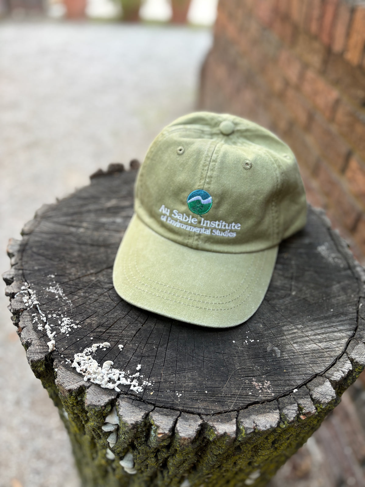 Au Sable Institute Logo Canvas Baseball Cap